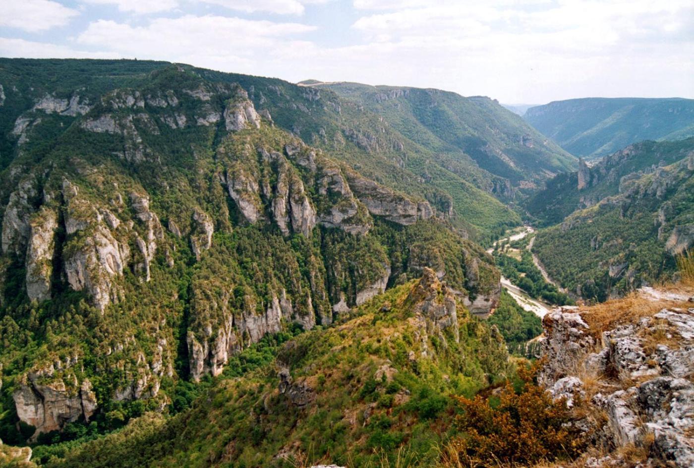 Cosy Studio - Heart Of Millau Dış mekan fotoğraf